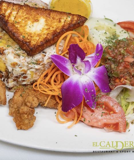 Chicken plate with salad